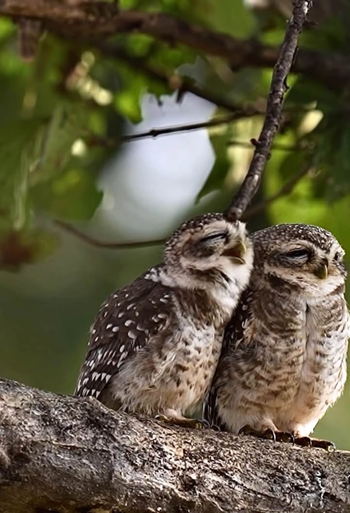 Đất nền liền kề Dương Minh Châu, Pleiku 150m² giá 400 triệu - Cơ hội đầu tư hấp dẫn!