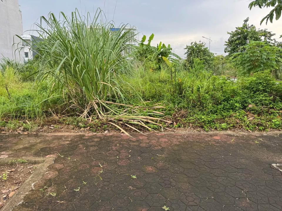 Lô đất TDC Áp Tràn, Thủy Nguyên 60m² giá chỉ 3 tỷ - Cơ hội đầu tư tuyệt vời!