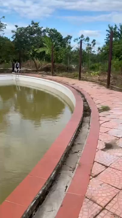 Đất rừng sản xuất tại Yên Mỹ, Lạng Giang 6000m² - Giá thỏa thuận hấp dẫn!