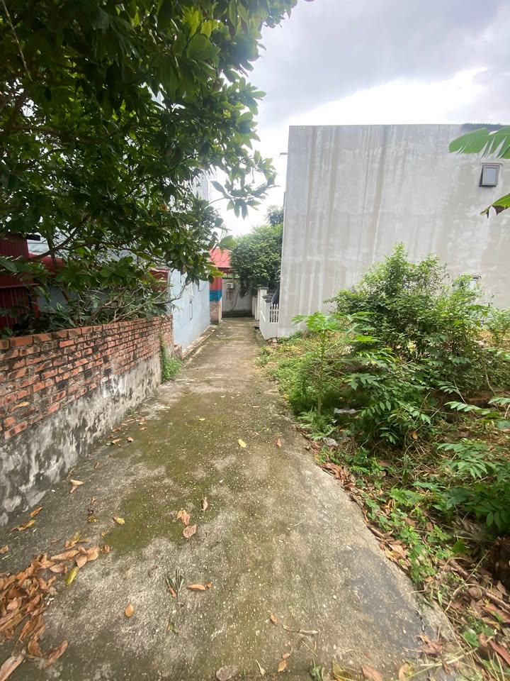 Đất nền Đông Cứu, Gia Bình 96,5m² giá 1,4 tỷ - Cơ hội an cư và đầu tư hấp dẫn!