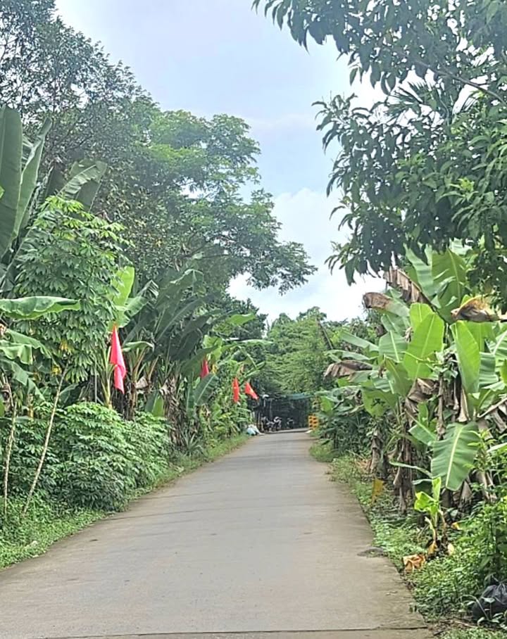 Đất nền Thới An Đông, Bình Thủy 500m² giá 1.5 tỷ - Đầu tư sinh lời ngay!