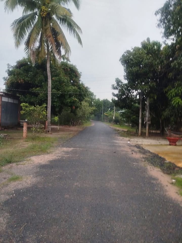 Đất thổ cư 330m² mặt tiền nhựa Thạnh Sơn, Tân Biên - Giá chỉ 390 triệu!