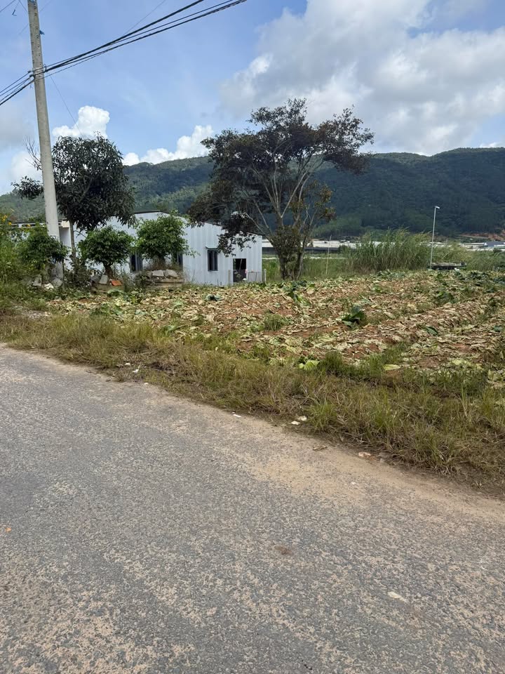 Đất mặt đường Dran, Đơn Dương 427m² giá 385.7 triệu - Cơ hội đầu tư tuyệt vời!