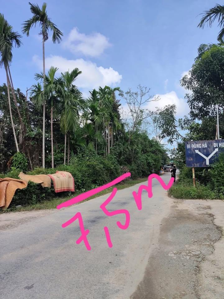 Đất đẹp mặt tiền đường Đặng Vinh, Tứ Hạ 128m² chỉ 1.05 tỷ - Kinh doanh thuận lợi!