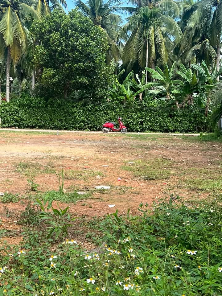 Đất thổ cư tại khu phố 2, phường Tam Quan, 130m² - Giá tốt, pháp lý rõ ràng!