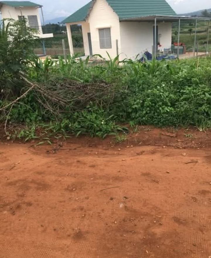 Đất nền mặt tiền Ba Cản, xã Tân Hội 2000m² giá 1.45 tỷ - Cơ hội đầu tư hấp dẫn!