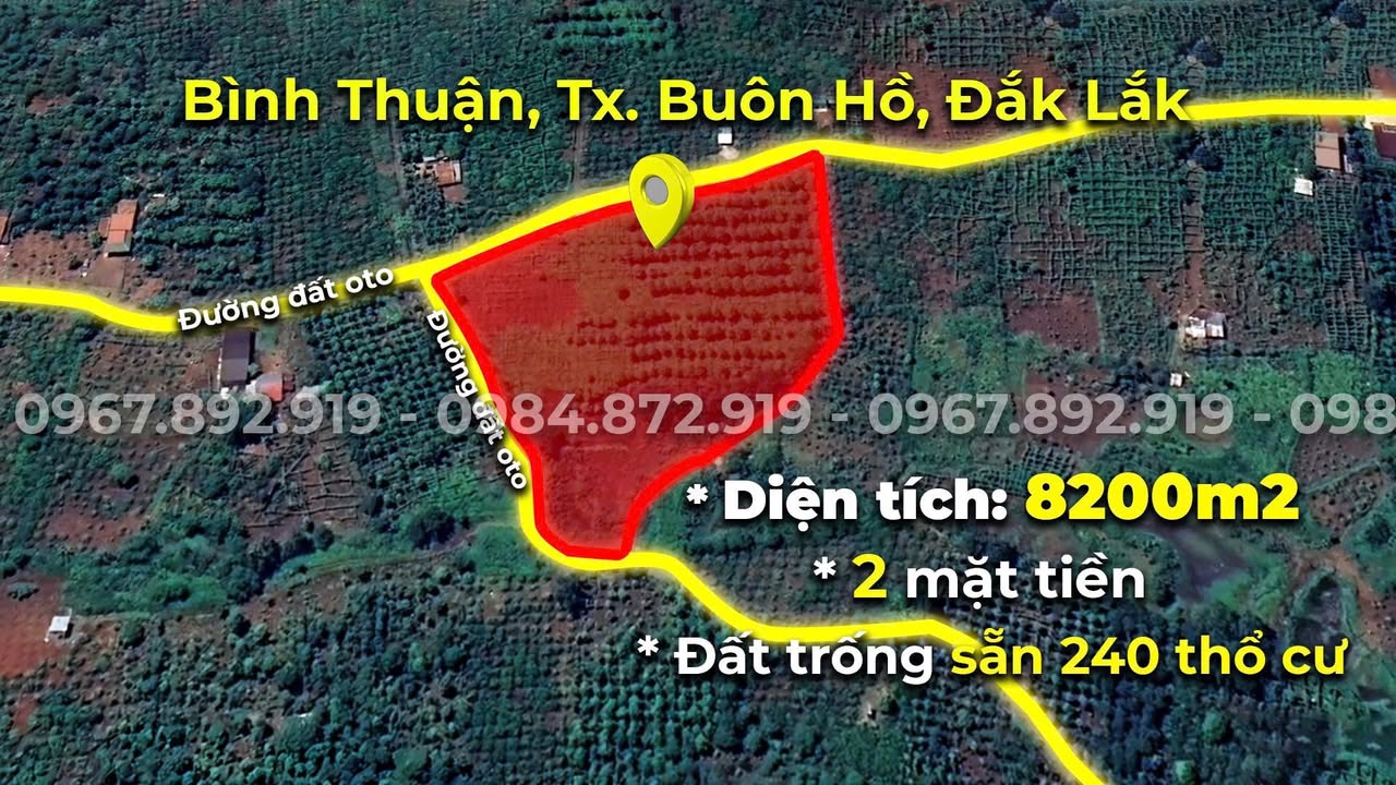 Đất Farm 8241m² tại Xã Bình Thuận, Buôn Hồ chỉ 1.813 tỷ - Cơ hội đầu tư tuyệt vời!