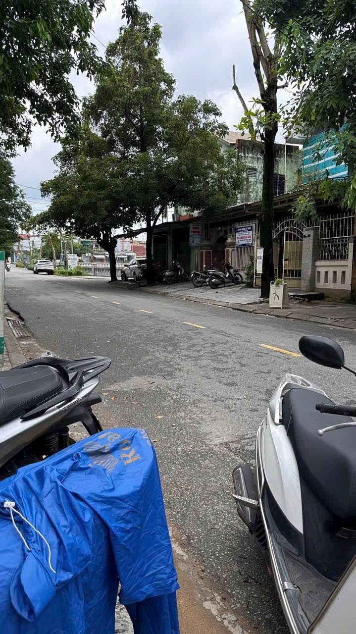 Đất mặt tiền kinh doanh Trần Nguyên Đán 55m² giá 1.8 tỷ - Đầu tư sinh lời ngay!