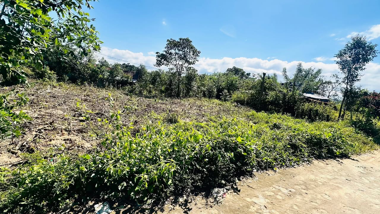 Đất nền xã Ia Khươl, Chư Păh, Gia Lai 168m² giá chỉ 150 triệu - Nhanh tay sở hữu!