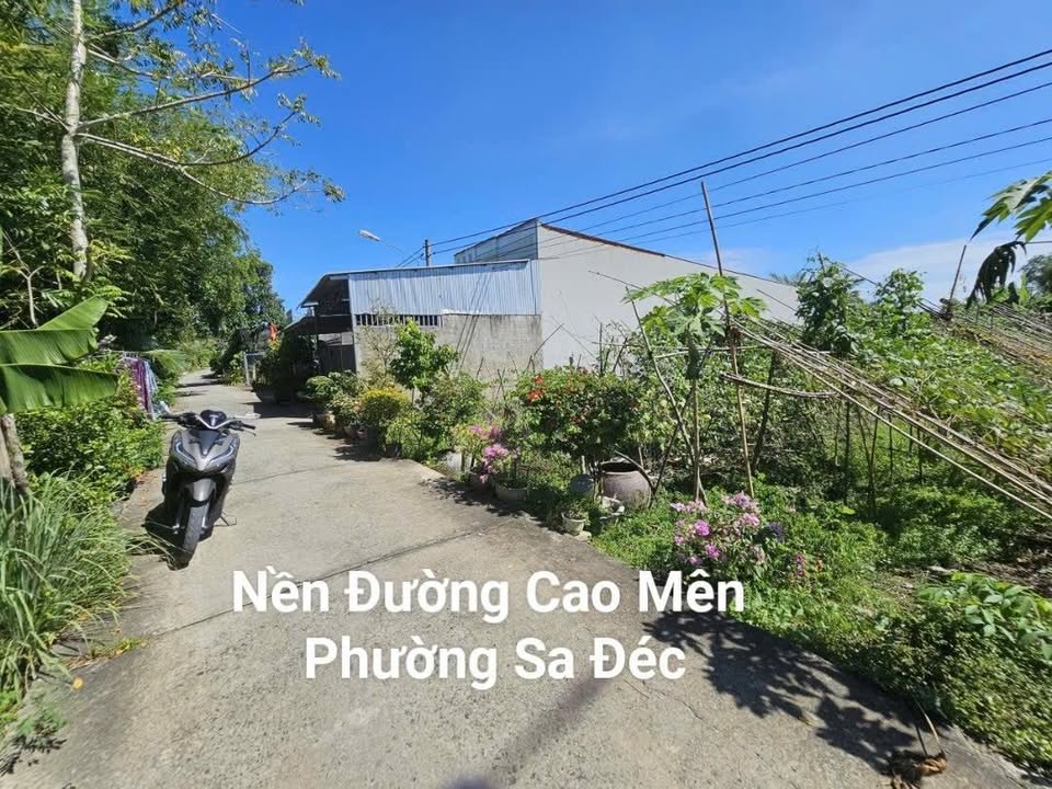 Đất nền đẹp tại đường Cao Mên Bờ Trái, phường Sa Đéc 217,8m² - Sổ hồng chính chủ, giá chỉ 1 tỷ!