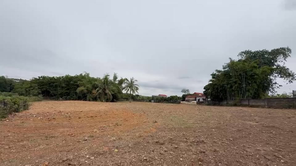 Đất vườn Tam Hiệp Yên Thế 4365m² giá 3 tỷ - Cơ hội đầu tư tuyệt vời!