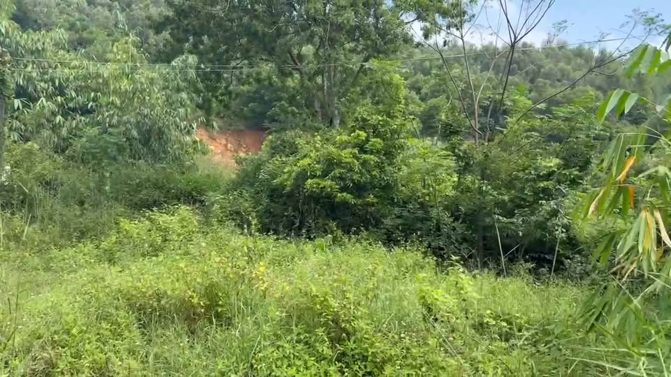 Đất Nền Nham Biền 800m² giá 7 tỷ - Tiềm năng đầu tư sinh lời cao!