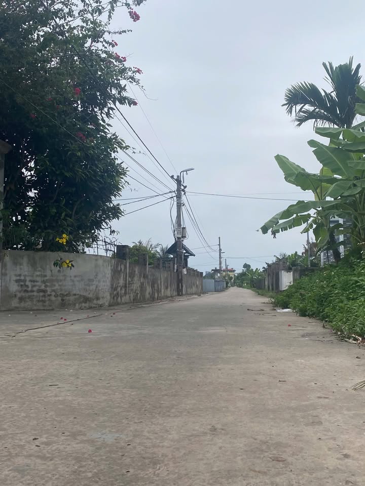 Đất nền Đông Minh, Tiền Hải 150m² giá 900 triệu - Đường ô tô vào tận nơi!