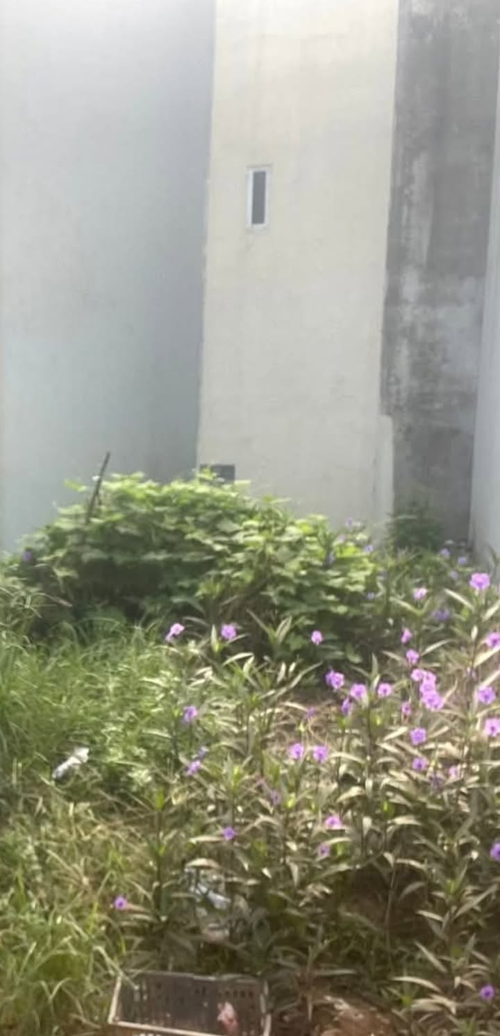 Bán đất Yên Nghĩa 61m² giá 6.486 tỷ - Vị trí kinh doanh đắc địa!