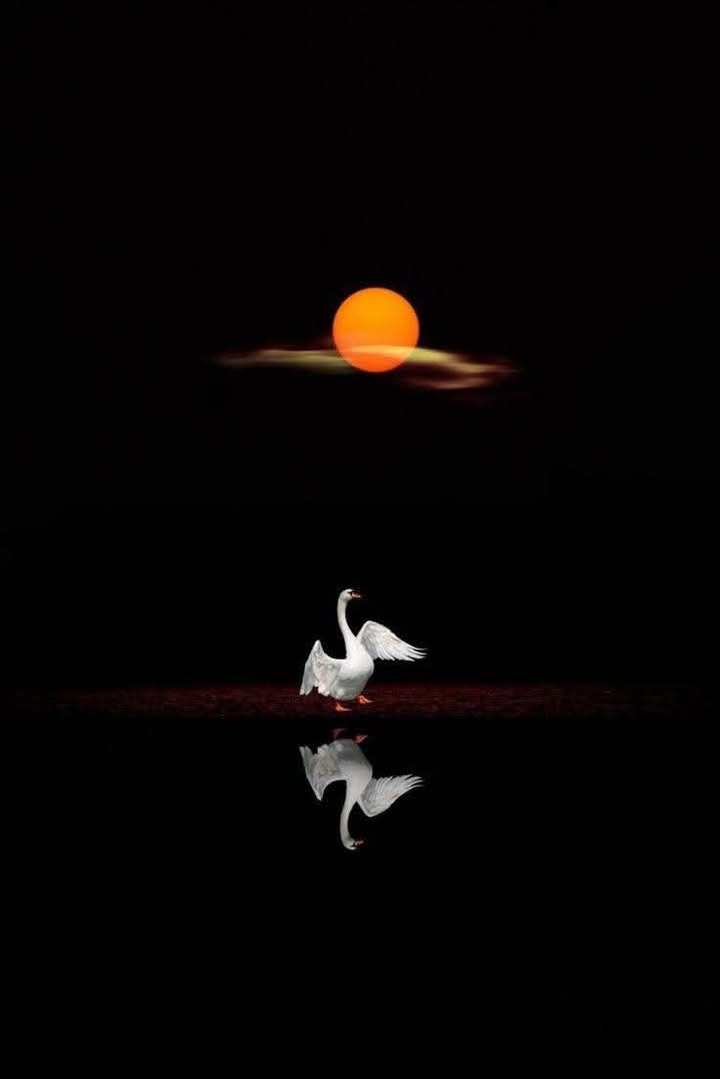 Đất mặt tiền đường Trung Tiết, phường Thành Sen, 180m² - Khu buôn bán sầm uất!