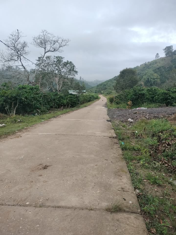 Đất nền Đạ Tồn 400m² giá chỉ 200 triệu - Sổ đỏ chính chủ