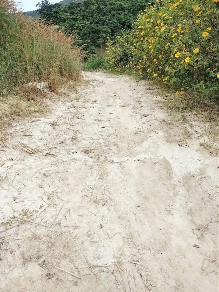 Đất nền Đạ Đờn Lâm Hà 74000m² giá 900 triệu - Cơ hội đầu tư hiếm có!