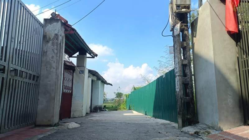 Đất thổ cư Đại Phùng, Phúc Thắng, Vĩnh Phúc 117m² giá 1.5 tỷ - Đường ô tô vào tận đất!