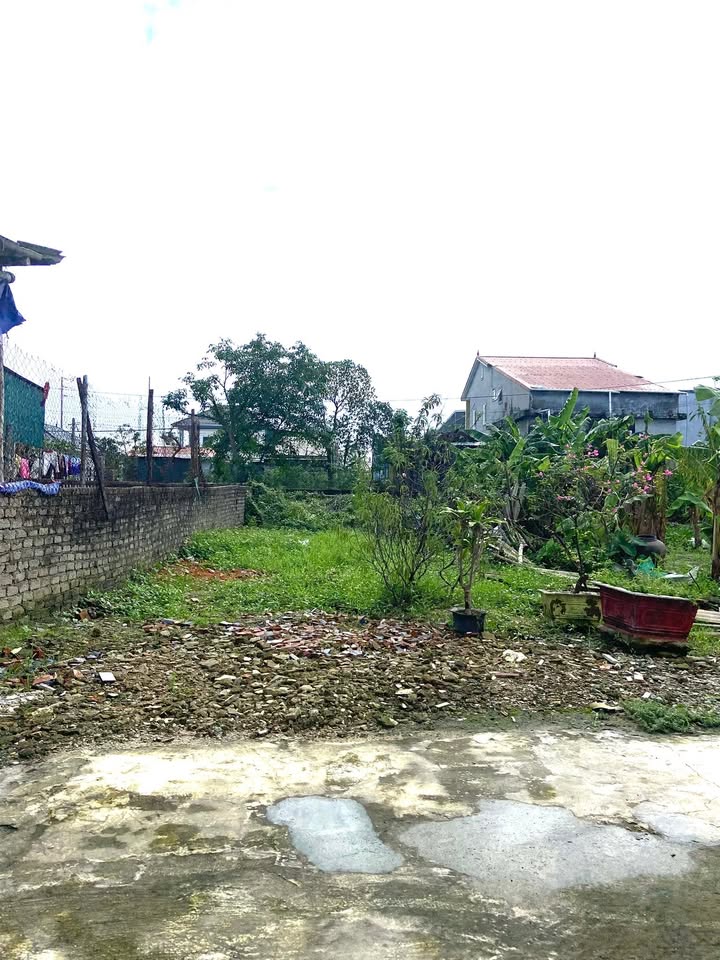 Đất Hưng Tây 154m² giá 30 triệu/m² - Đối diện KCN VSIP, cơ hội đầu tư tuyệt vời!