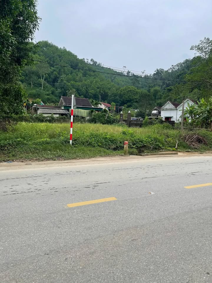 Đất nền Tân Kỳ 160m² giá 1.55 tỷ - Nhanh tay sở hữu!