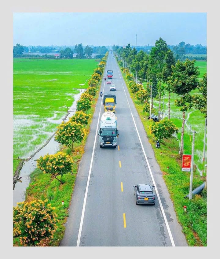 Đất mặt tiền QL61C, xã Tân Hòa, 13.600m² chỉ 450 triệu - Đầu tư sinh lời ngay!