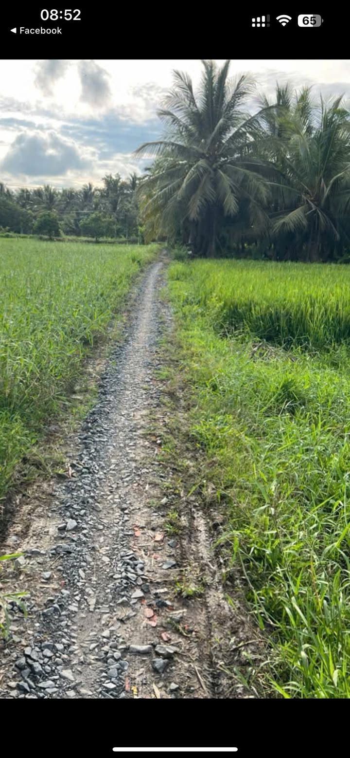 Đất mặt tiền đường 2m xã Song Lộc, Châu Thành, 344m² chỉ 190 triệu - Cơ hội đầu tư hiếm có!