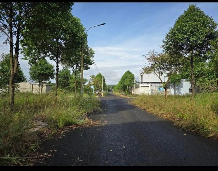 Đất thổ cư Tân Phú, Đồng Phú 121m² giá 950 triệu - Cơ hội đầu tư tuyệt vời!