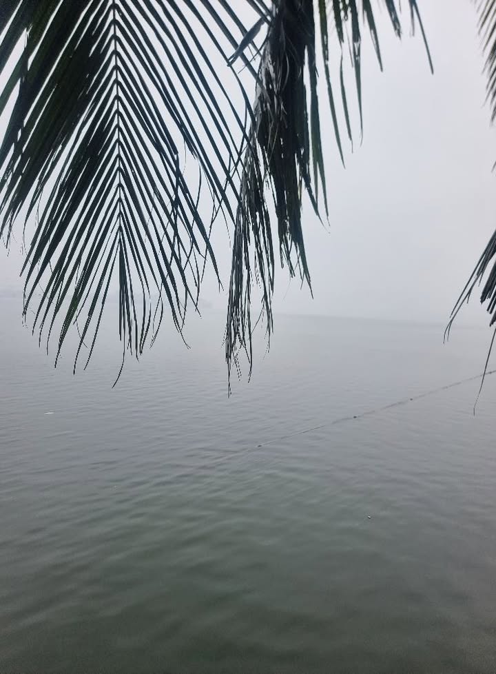 Nhà phố Võng Thị, Tây Hồ 27m² giá 7 tỷ - Sẵn sàng vào ở ngay!