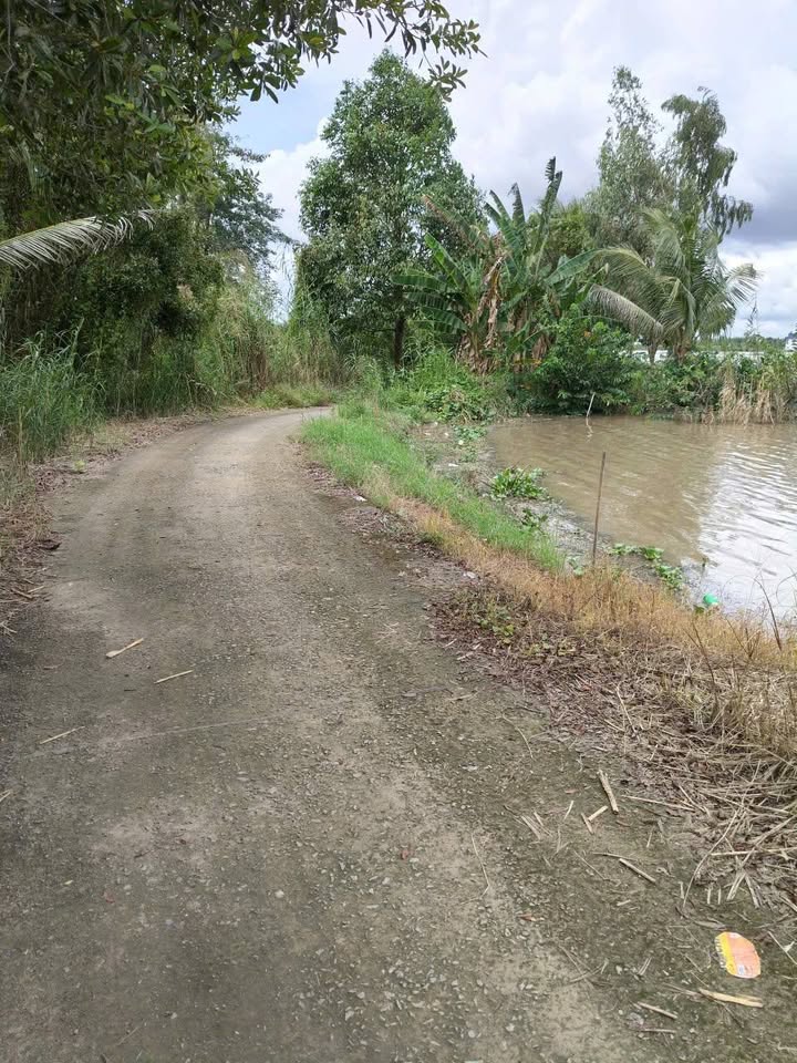 Đất ruộng Vĩnh Thông Rạch Giá 2800m² giá 1.62 tỷ - Tiềm năng làm nhà vườn