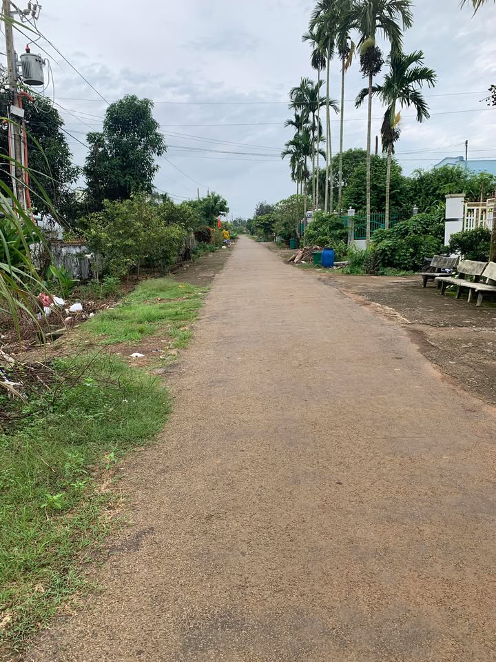 Đất nền xã Đức Tín, huyện Đức Linh 400m² giá 8 tỷ - Đầu tư sinh lời ngay!