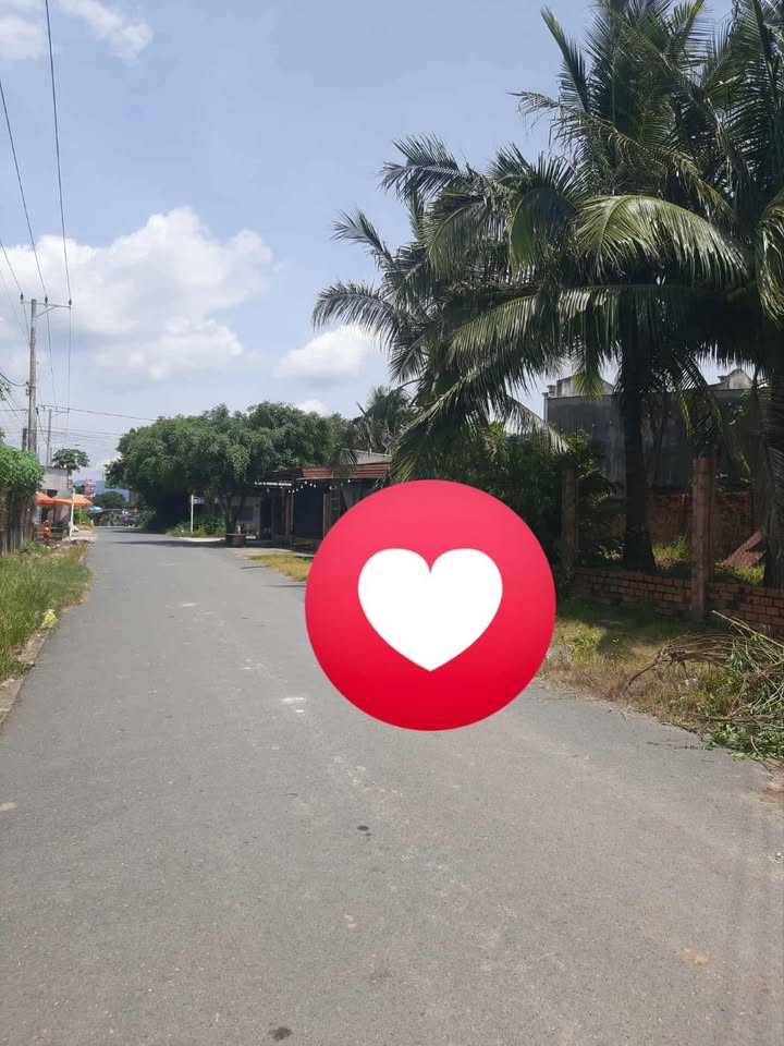 Đất nền Võ Xu Đức Linh 190m² giá chỉ 160 triệu - Kinh doanh thuận lợi!