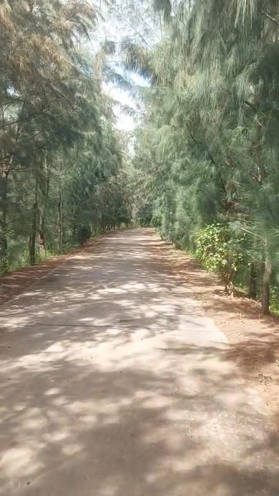 Đất nền xã Tân Thủy, Ba Tri 8ha giá 28 tỷ - Vị trí gần biển tuyệt đẹp!