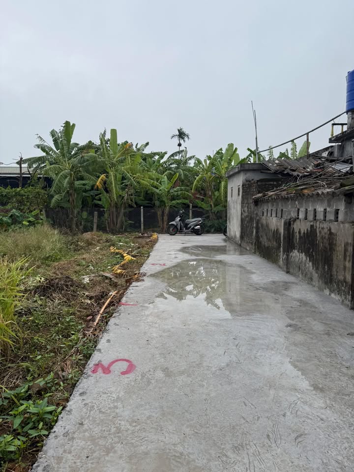 Đất nền Nam Tiền Hải 100m² giá chỉ 300 triệu - Đầu tư sinh lời ngay!