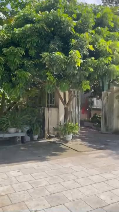 Đất nền Biện Thượng Thọ Xuân 100m² giá 2.5 tỷ - Đầu tư sinh lời ngay!