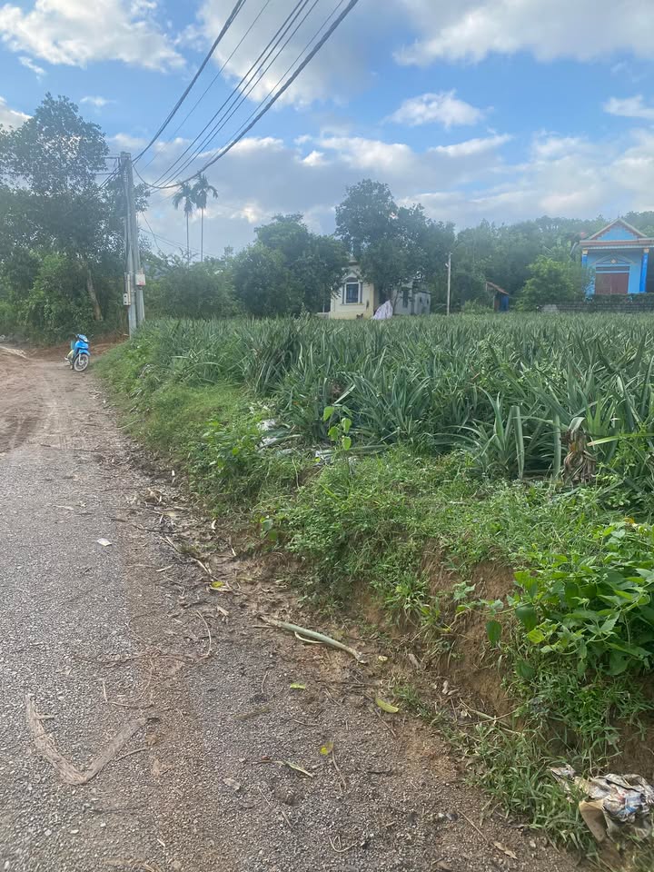 Đất nền 1000m² tại phường Yên Sơn, Hà Trung - Vị trí tiềm năng gần khu du lịch