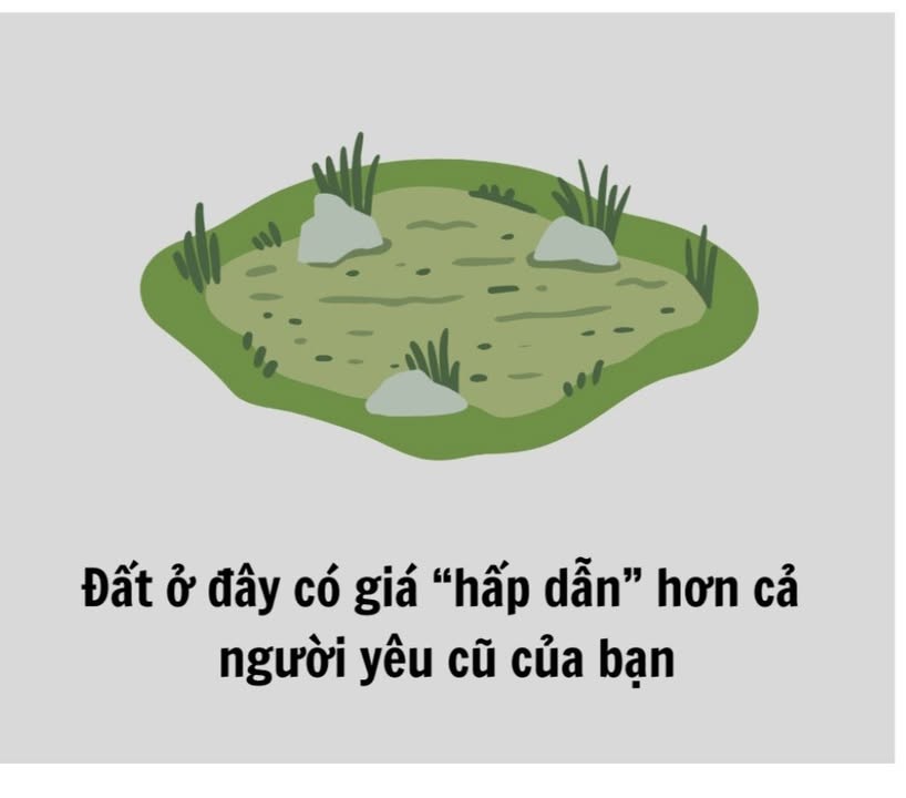 Đất nền 5000m² xã Tân Lập 2 giá 1.199 tỷ - Cơ hội đầu tư sinh lời!