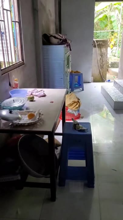 Nhà riêng Bình Đại 207.2m² giá 400 triệu - Thích hợp ra riêng hoặc cho thuê!