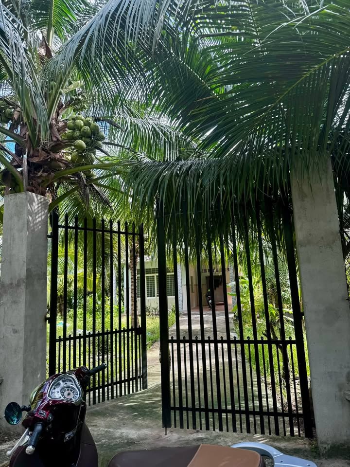 Nhà cho thuê nguyên căn tại Phú Nhuận, Bến Tre - Diện tích 150m² giá 3.7 triệu/tháng - Sân vườn thoáng mát!