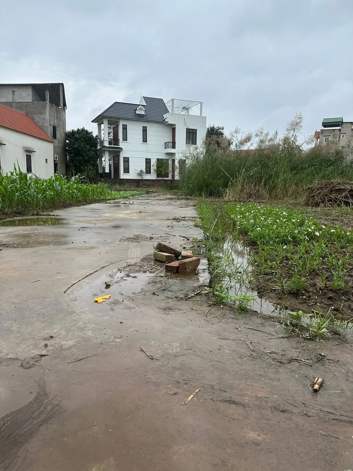 Đất nền chính chủ tại Chương Dương - Thường Tín 45m² chỉ 2.6 tỷ - Cơ hội đầu tư hấp dẫn!