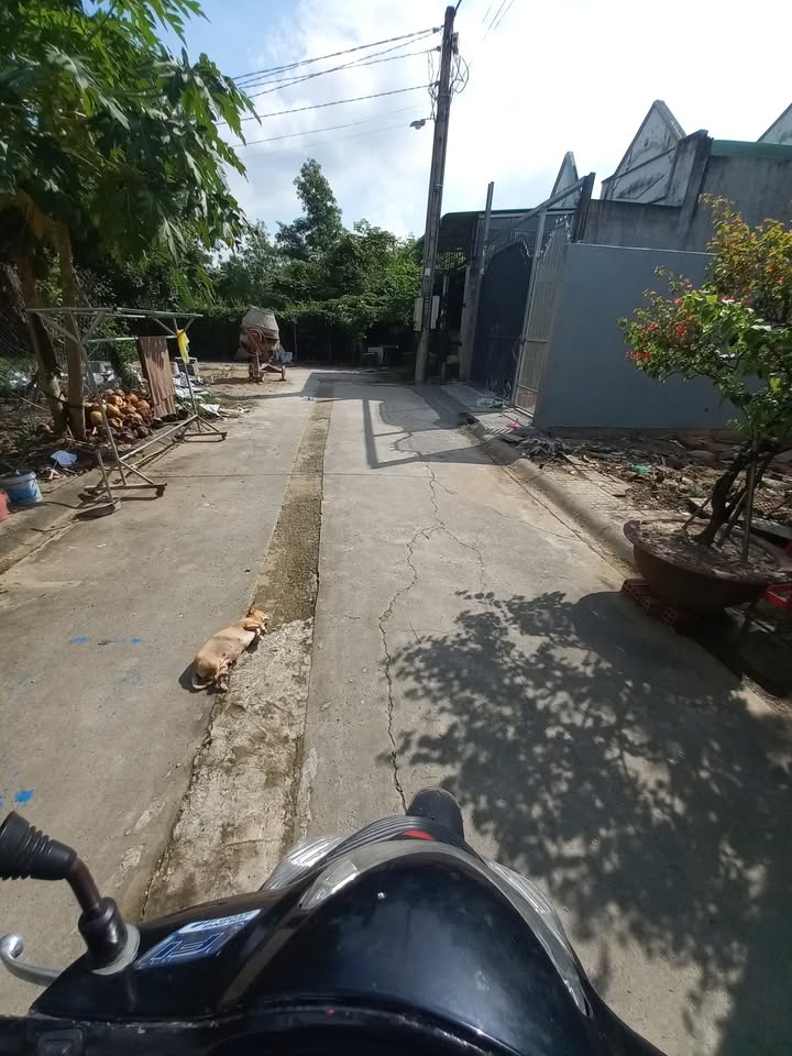 Đất cấp Quân đội Tân Triều 95m² giá 1.2 tỷ - Pháp lý rõ ràng, xây dựng thoải mái!