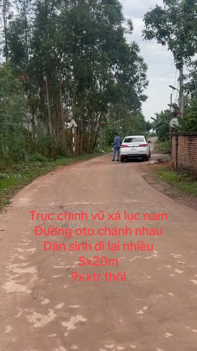 Đất nền Vũ Xá, Lục Nam 100m² giá 800 triệu - Đầu tư sinh lời hấp dẫn!