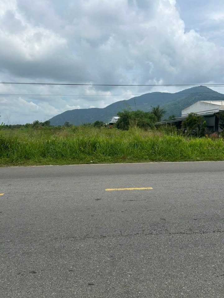 Đất mặt tiền ĐT712, Tân Thành, 313m² giá 980 triệu - Đầu tư sinh lời!