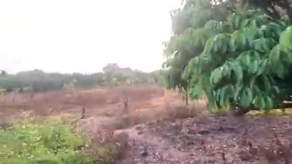 Lô đất Farm tại Thanh Hải, Lục Ngạn 4800m² giá 1.65 tỷ - Tiềm năng sinh lời cao!