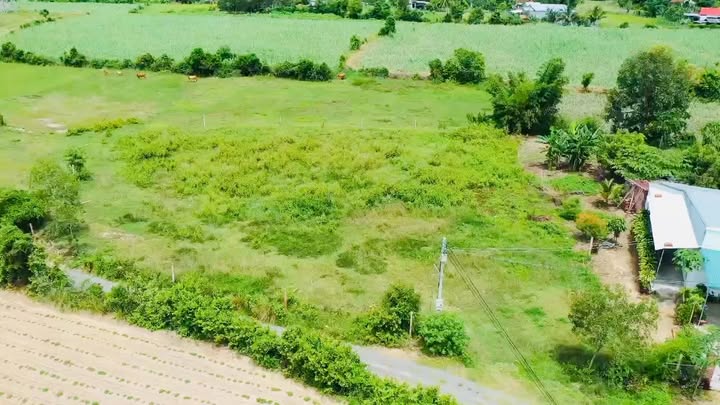 Đất thổ cư Ninh Xuân 1.879m² giá chỉ 1.5 tỷ - Sổ đỏ chính chủ, thuận tiện phân lô!