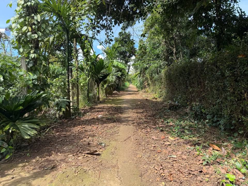 Đất nền Hẻm Mậu Thân, Buôn Ma Thuột 125m² giá 950 triệu - Cơ hội đầu tư hấp dẫn!