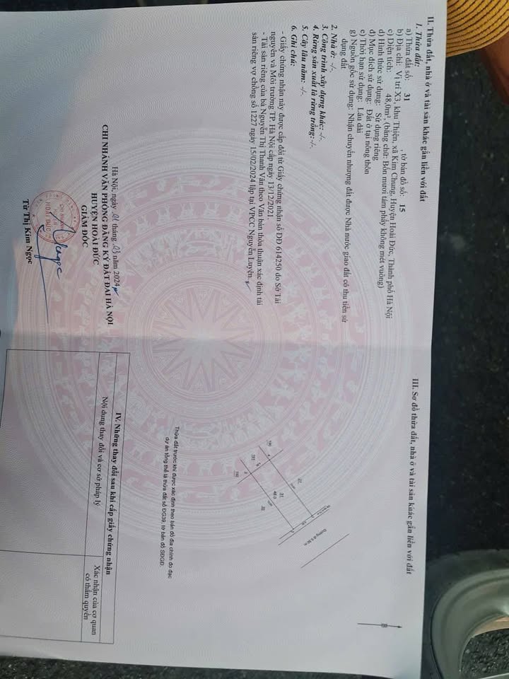 Đất đấu giá Kim Chung 48m² giá 800 triệu - Tiềm năng tăng giá cao!