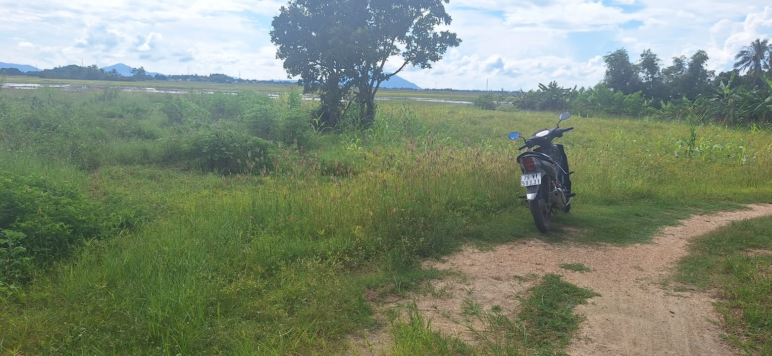 Đất thổ cư 2.100m² tại Phú Cang 1 Bắc, Vạn Ninh - Giá chỉ 1.5 tỷ!