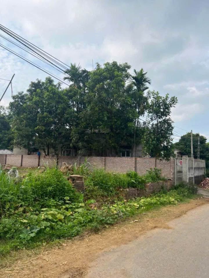 Đất nền kinh doanh tại Hoàng Cương 109m² - Mặt đường nhựa, giá thỏa thuận!