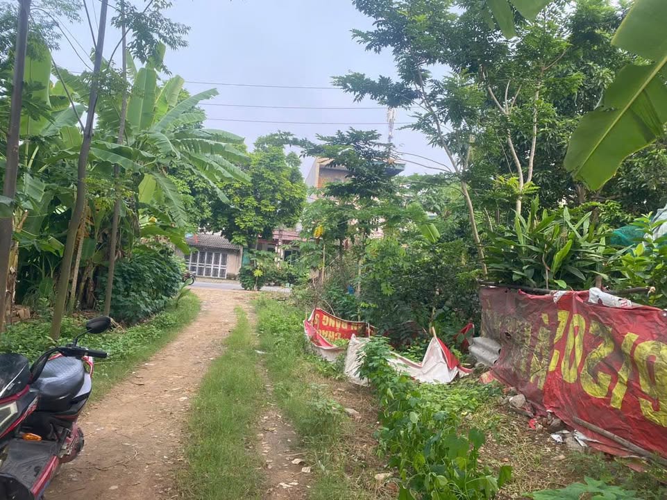 Lô đất đẹp khu Hồng Hà 2, phường Thanh Miếu, Việt Trì, 72m² giá 1 tỷ - Pháp lý rõ ràng!