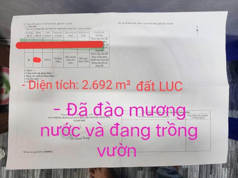 Đất vườn 2.692m² tại Châu Đốc giá chỉ 390 triệu - Sổ đỏ chính chủ!